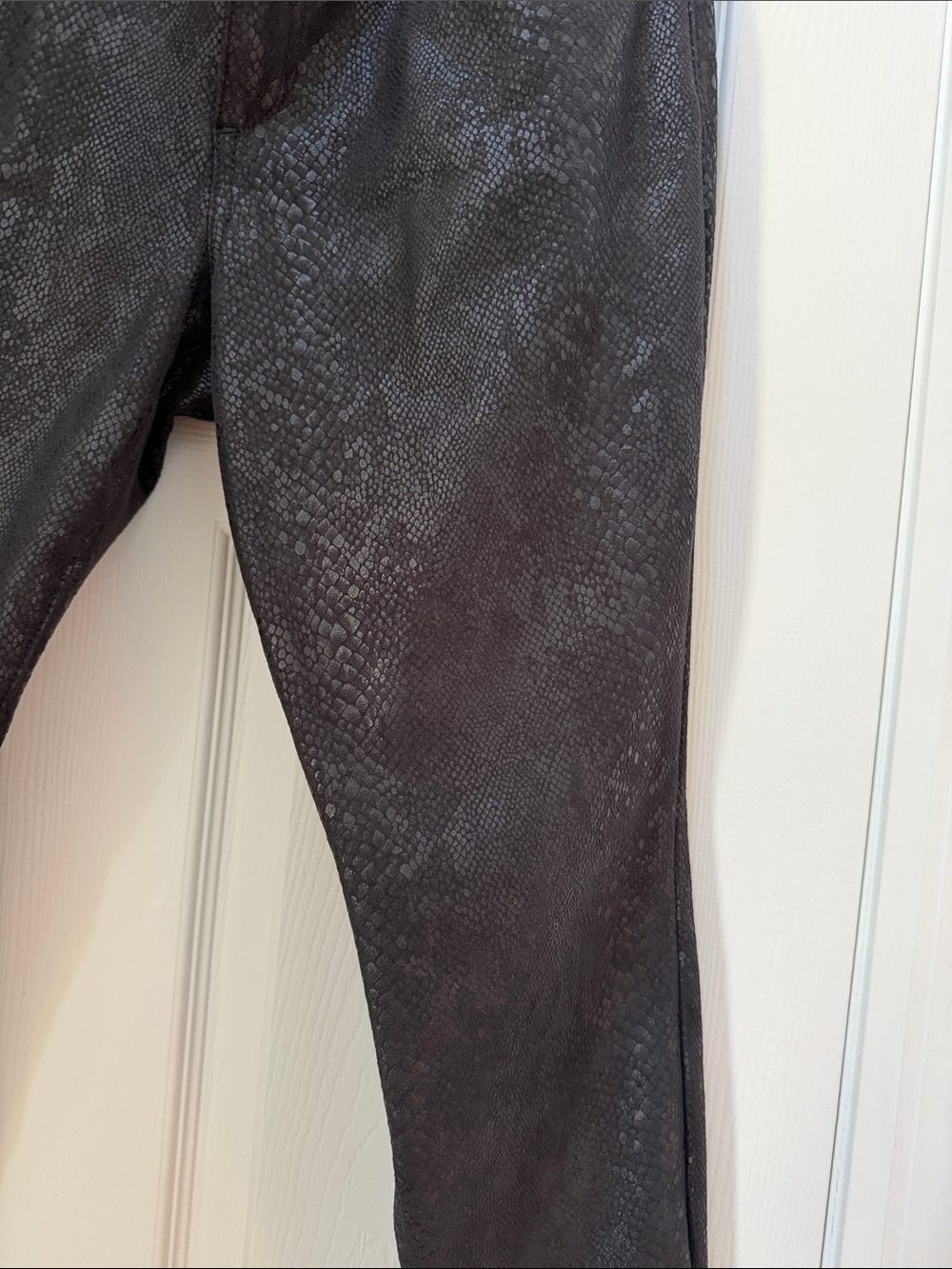 Joes Python Pants - Picture 2 of 10